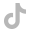 TikTok Logo